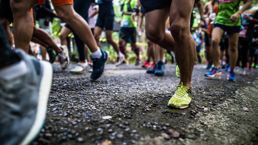 The New York Marathon