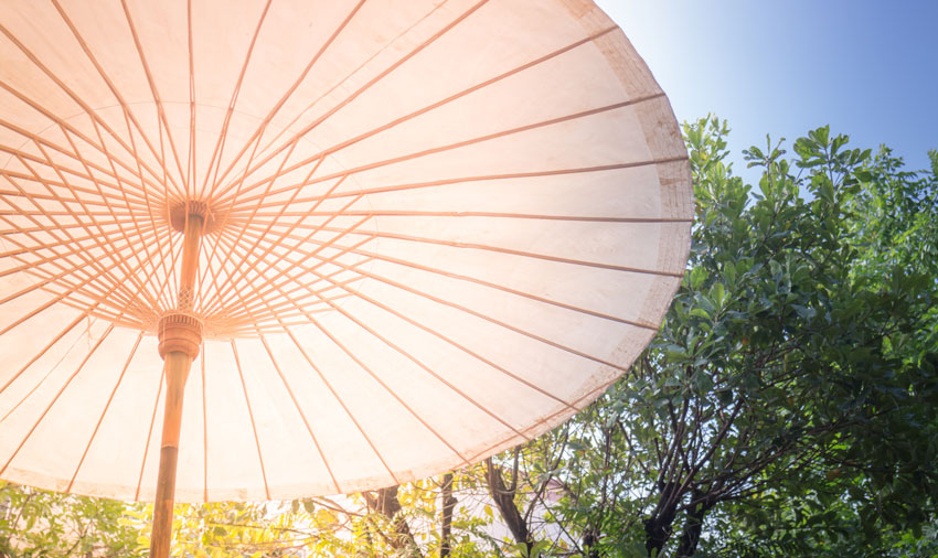 Umbrella in New York in August 2023