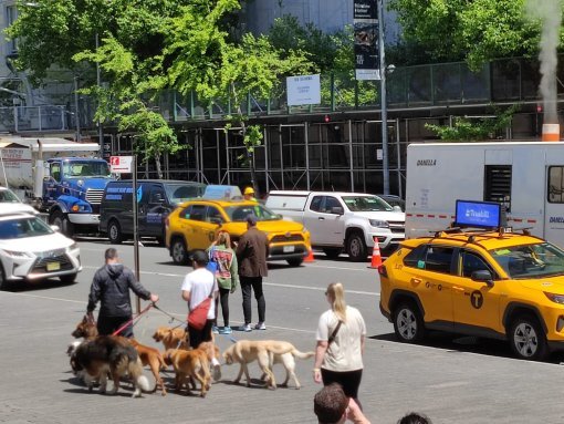 Viaje de mayo de 2022 con Te Llevo a Nueva York - Fotos tomadas durante el viaje del 6 al 14 de mayo de 2022 con nuestros viajeros de Te Llevo a Nueva York