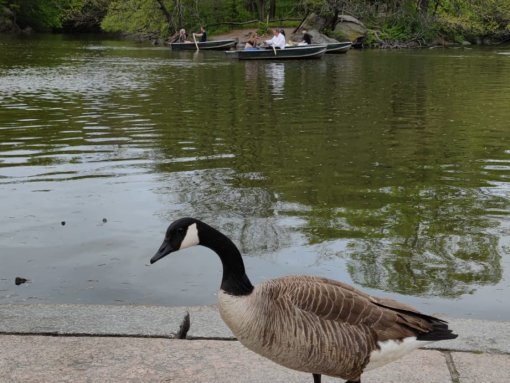 Viaje de mayo de 2022 con Te Llevo a Nueva York - Fotos tomadas durante el viaje del 6 al 14 de mayo de 2022 con nuestros viajeros de Te Llevo a Nueva York