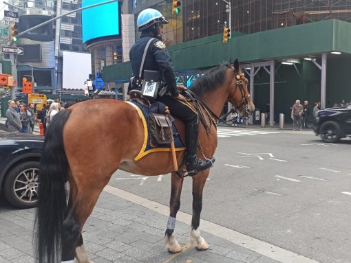 Viaje de mayo de 2022 con Te Llevo a Nueva York - Fotos tomadas durante el viaje del 6 al 14 de mayo de 2022 con nuestros viajeros de Te Llevo a Nueva York