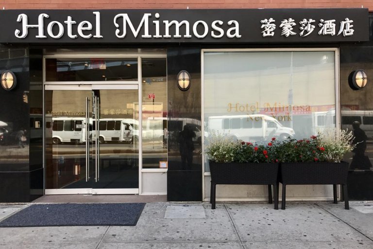 Photo hotel Mimosa